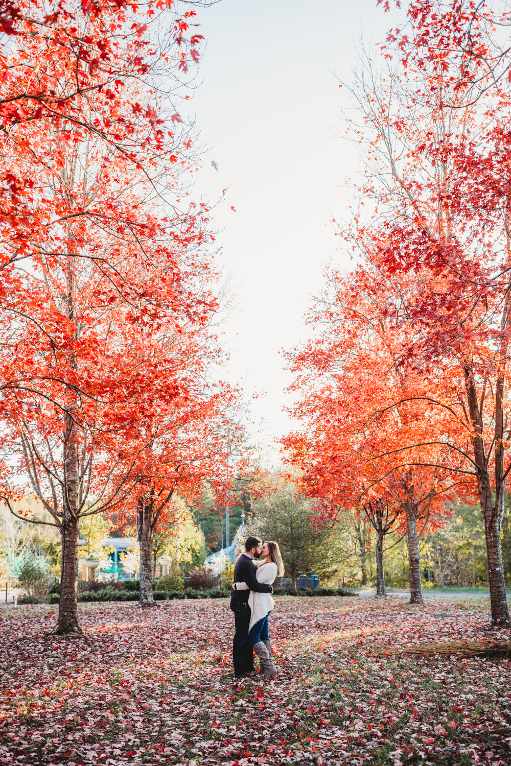 Daniel Stowe Botanical Gardens engagement, Daniel Stowe Botanical Gardens wedding, Daniel Stowe Botanical gardens, North Carolina Engagement Photographer, Charlotte NC Engagement, North Carolina engagement Picture ideas, Charlotte NC wedding Photographer, engagement locations in Charlotte NC, engagement inspiration, Best places for an engagement session in Charlotte NC, North Carolina Engagement Photos, Asheville NC Engagement Photos, fall engagement photos, winter engagement photos